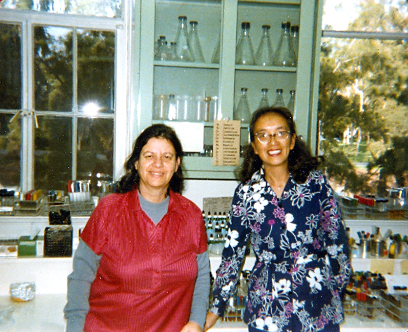 dDQR000009 EML CMFradkin in lab, 1980